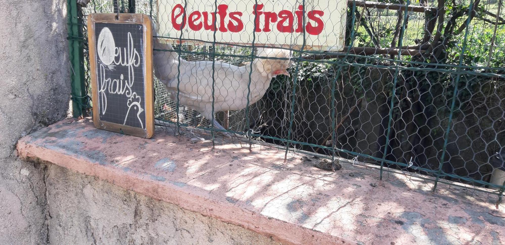 Appartement Les Ecrins